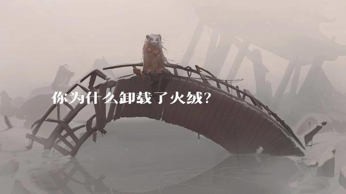 你为什么卸载了火绒？