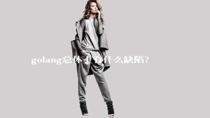 golang总体上有什么缺陷？