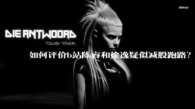 如何评价b站陈睿和徐逸疑似减股跑路？