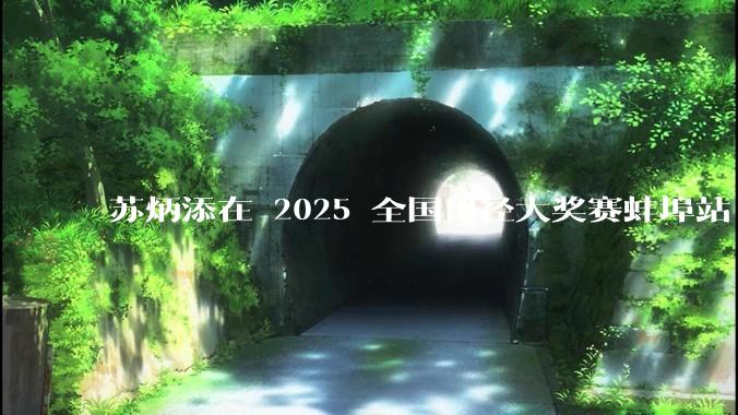 苏炳添在 2025 全国田径大奖赛蚌埠站 100 米预赛中止步小组第三，背后的原因可能有哪些？